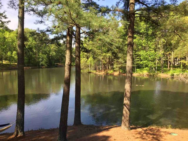 5301 Springfield Dr, Raleigh, NC 27609