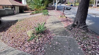 5301 Thayer Dr, Raleigh, NC 27612