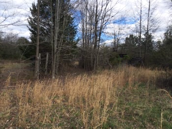 5307 Oscar Gammon Rd Lot 2, Mebane, NC 27302