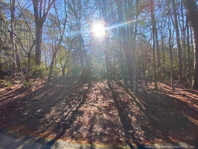 531 Perth Dr, Sanford, NC 27332