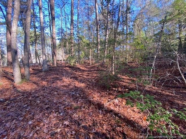 531 Perth Dr, Sanford, NC 27332