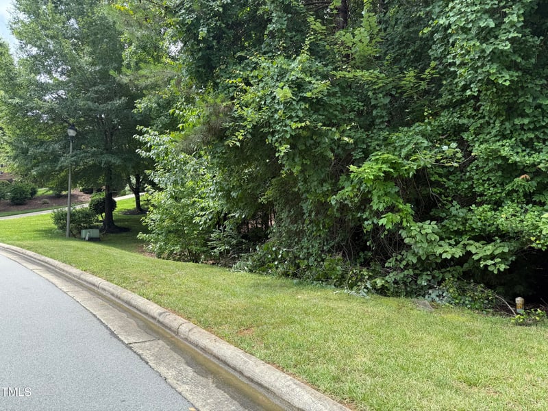 533 Bear Tree Creek Lot 191, Chapel Hill, NC 27517