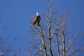 533 Competition Rd, Raleigh, NC 27603