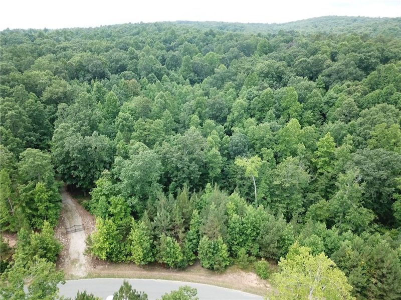 5333 Eagles Nest Trl, Snow Camp, NC 27349