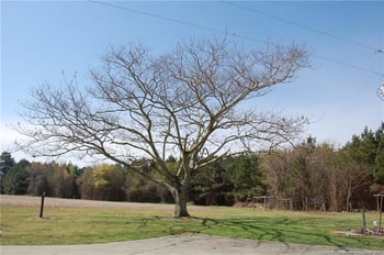 535 Poplar Springs Church Rd, Sanford, NC 27330