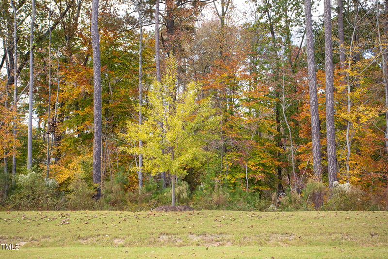 535 Traditions Grande Blvd, Wake Forest, NC 27587
