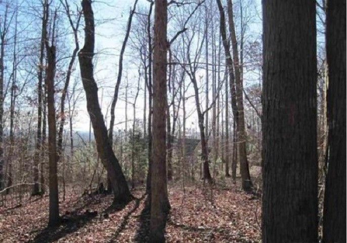 53503 Bickett Lot 44, Chapel Hill, NC 27517