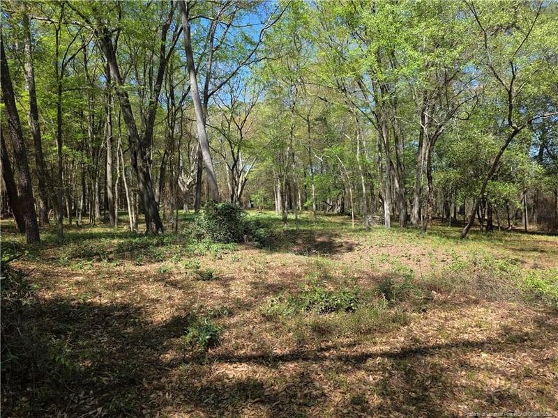 5354 Muscat Rd, Hope Mills, NC 28348