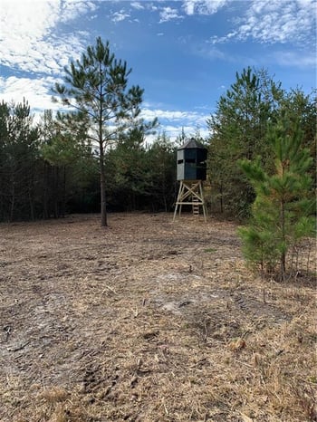 5358 Mount Hermon Rock Crk Rd, Snow Camp, NC 27349