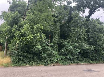537 Bragg St Lot 5, Raleigh, NC 27601