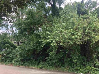 537 Bragg St Lot 5, Raleigh, NC 27601