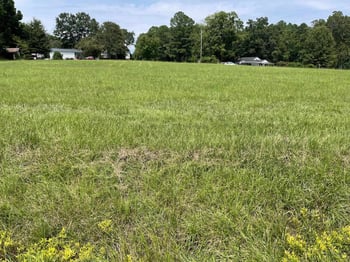 54 Mccoy Rd, Apex, NC 27523