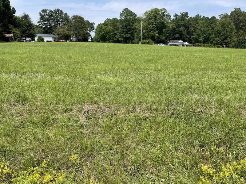 54 Mccoy Rd, Apex, NC 27523