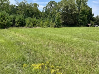 54 Mccoy Rd, Apex, NC 27523