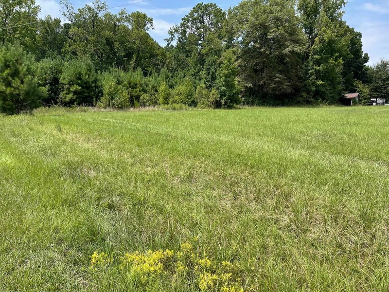 54 Mccoy Rd, Apex, NC 27523