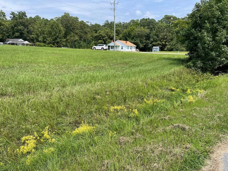 54 Mccoy Rd, Apex, NC 27523