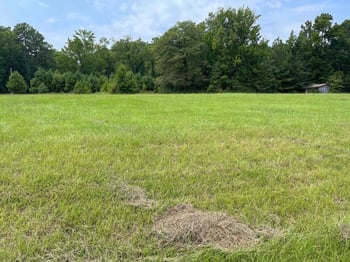 54 Mccoy Rd, Apex, NC 27523