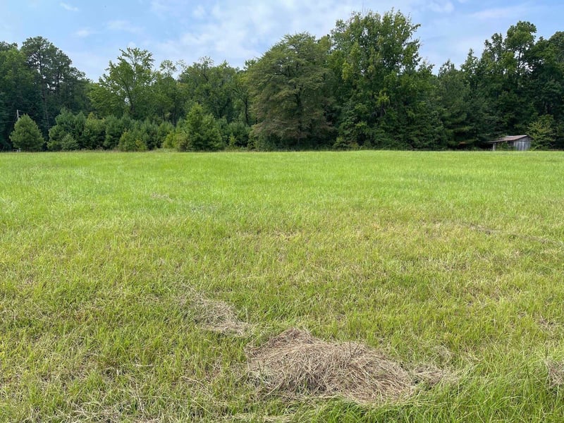 54 Mccoy Rd, Apex, NC 27523