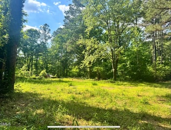 540 Crab Apple Ln, Erwin, NC 28339