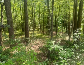 540 Crab Apple Ln, Erwin, NC 28339