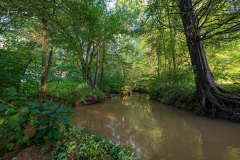 5401 Nicks Rd, Mebane, NC 27302