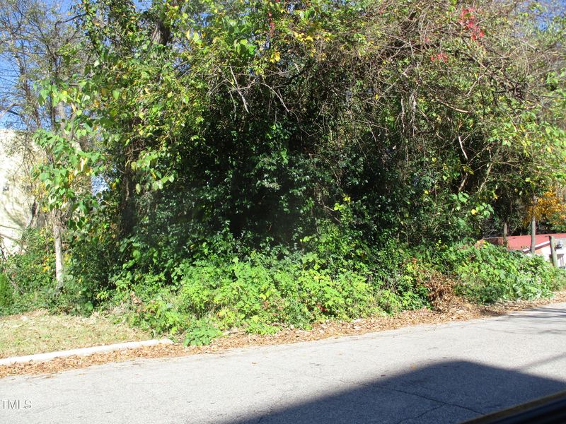 541 Bragg St Lot 6, Raleigh, NC 27610