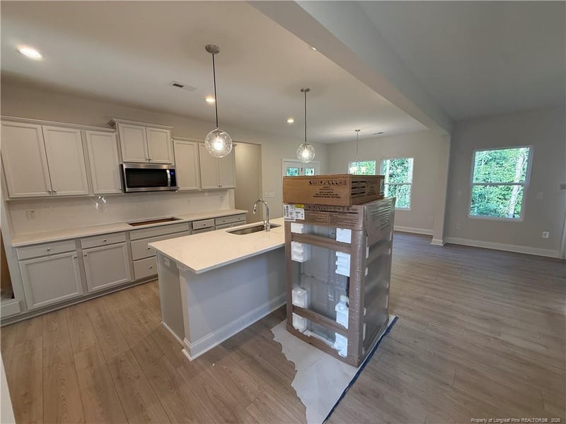 541 Grand Griffon Way, Lillington, NC 27546