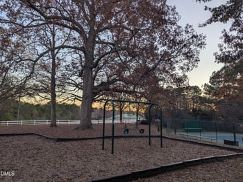 541 Village Loop Dr, Apex, NC 27502