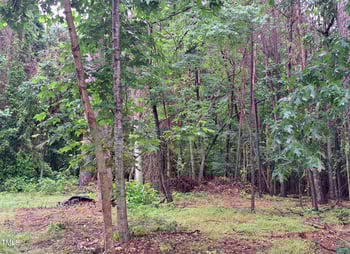 5429 Live Oak Trl, Raleigh, NC 27613