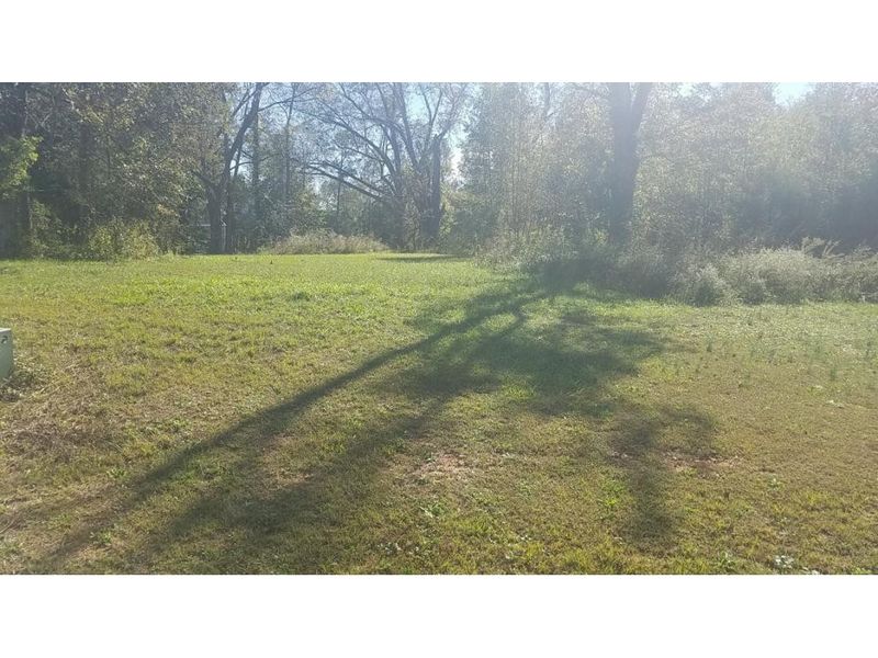 5446 Longspur Dr, Snow Camp, NC 27349