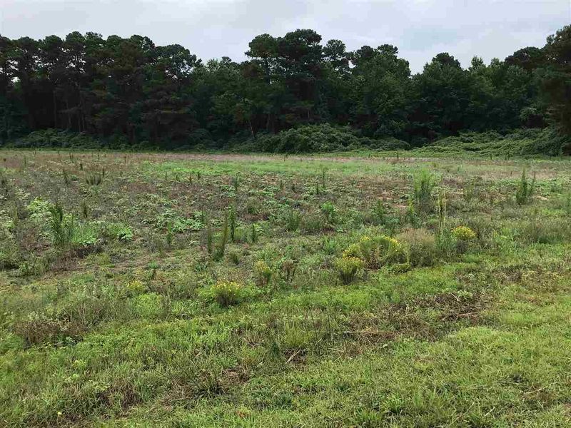 545 Partin Rd Lot 4, Dunn, NC 28334