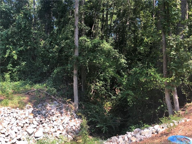 5462 River Rd, Hope Mills, NC 28348
