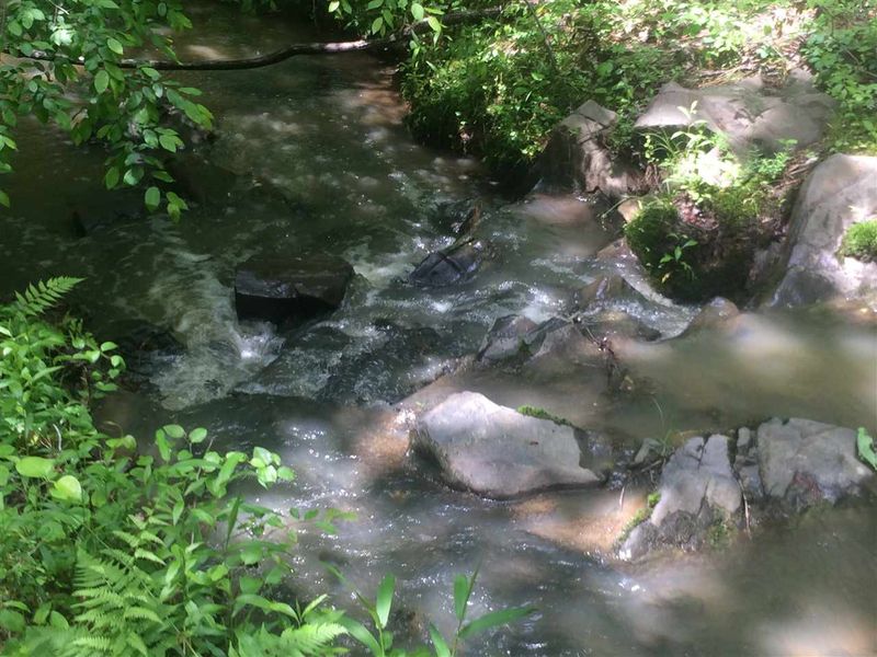 549 Olde Thompson Creek Rd Lot 14, Apex, NC 27523