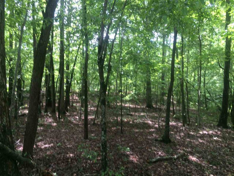 549 Olde Thompson Creek Rd Lot 14, Apex, NC 27523