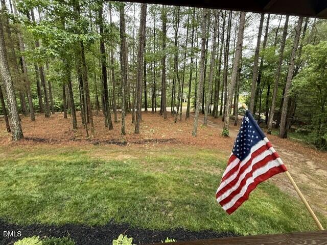 55 Courtney Dr, Louisburg, NC 27549