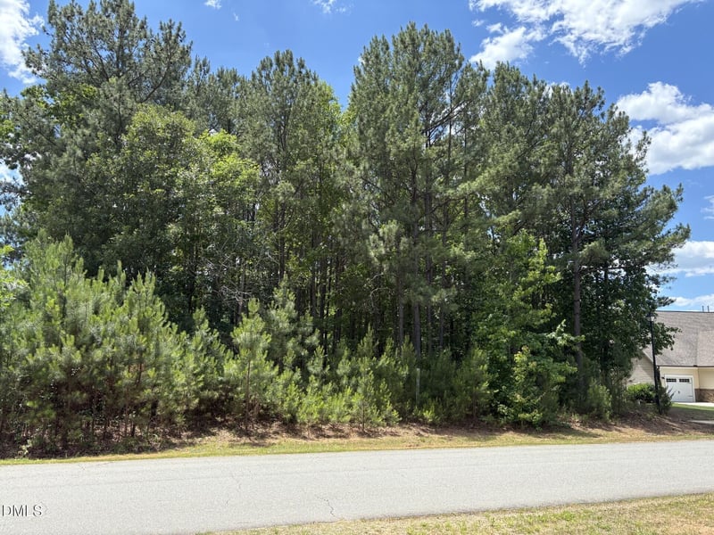 55 Grand Fairway Dr Lot 686, Franklinton, NC 27525