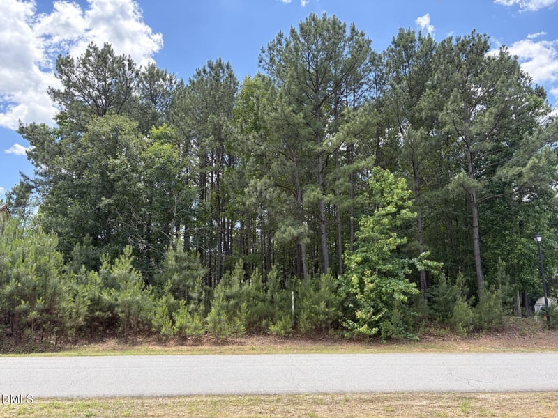 55 Grand Fairway Dr Lot 686, Franklinton, NC 27525