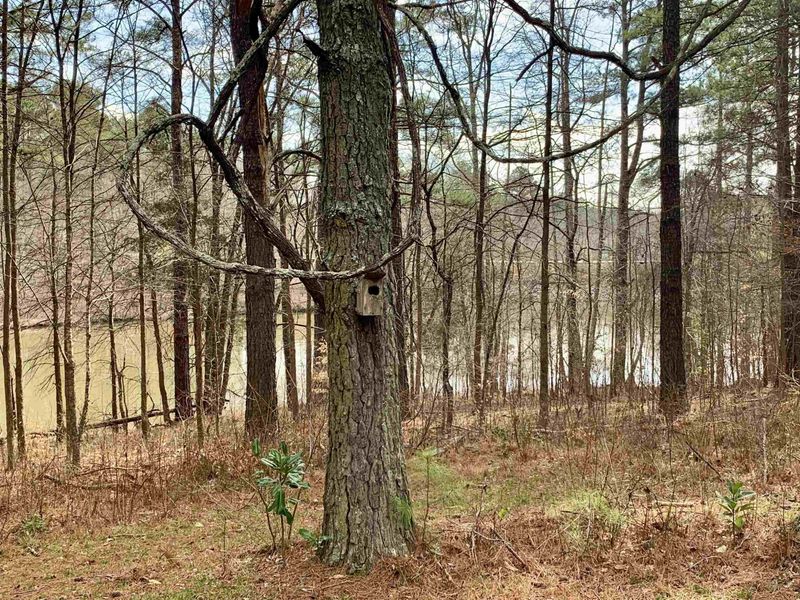 5505 Old Still Rd, Wake Forest, NC 27587