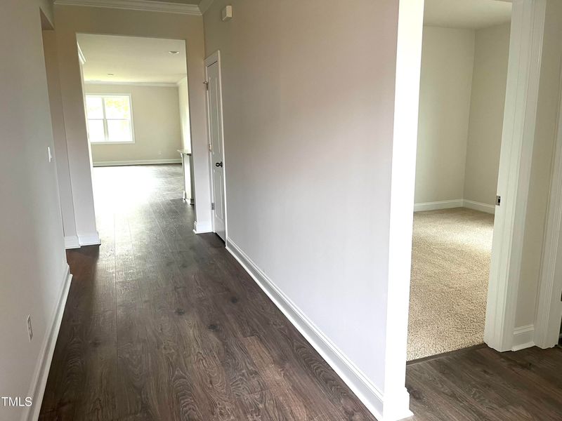552 Lemon Daisy Ln, Knightdale, NC 27545