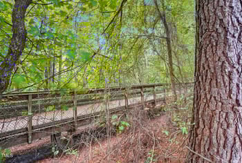 5520 Oregon Landing Pl, Raleigh, NC 27610