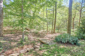 554 Hatterleigh Ave, Hillsborough, NC 27278
