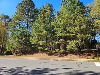 558 Chapel Ridge Dr Lot 79, Pittsboro, NC 27312