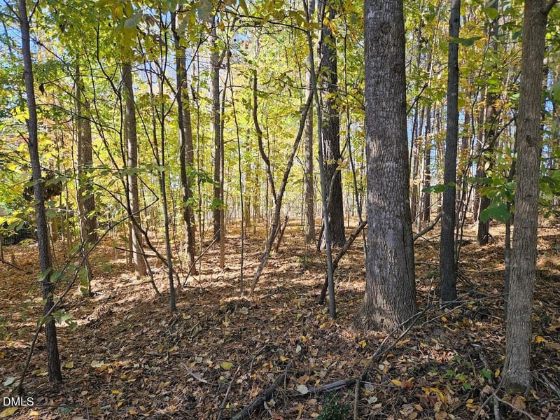 558 Chapel Ridge Dr Lot 79, Pittsboro, NC 27312
