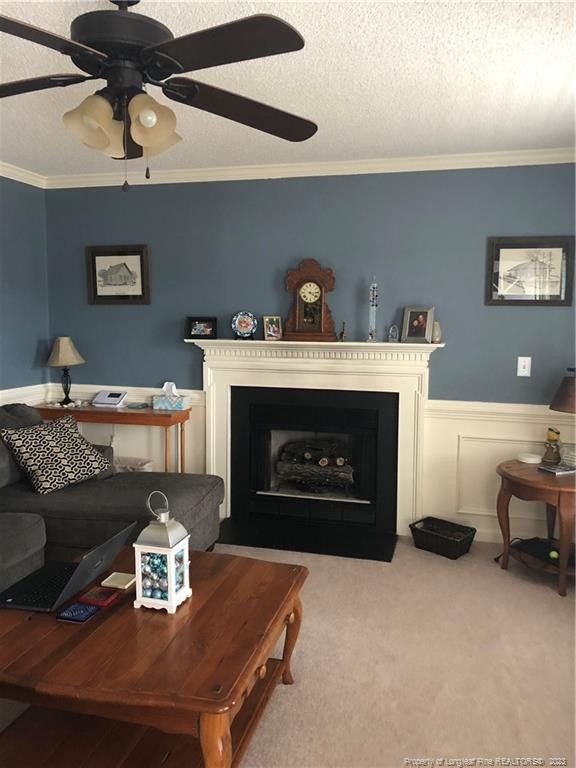 56 Blair Dr, Angier, NC 27501