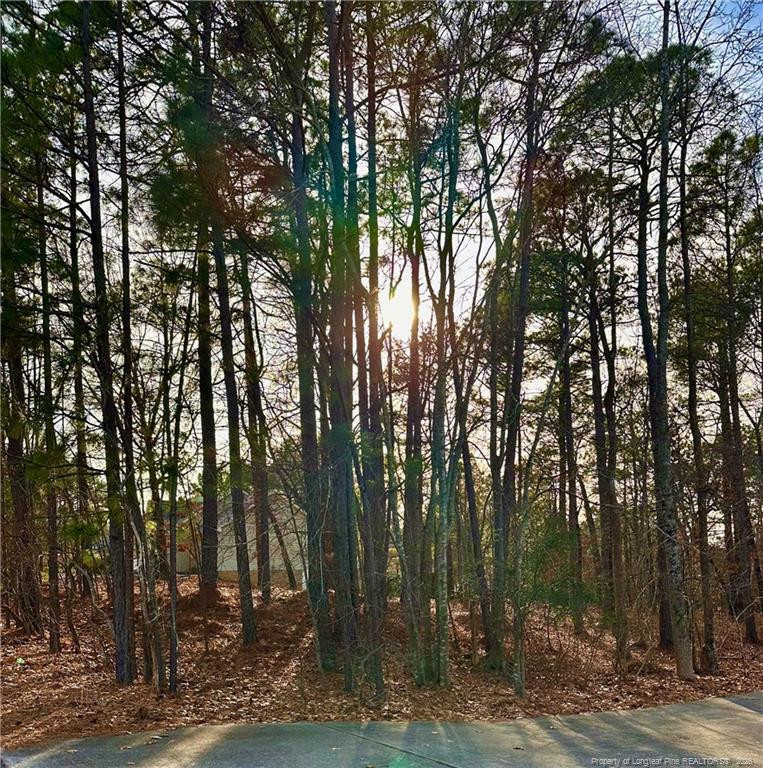 56 Lotus Ln, Sanford, NC 27332