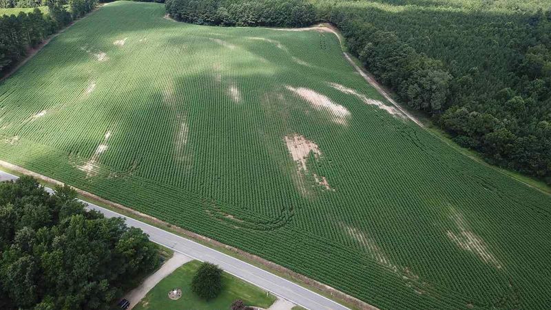 56.41 Acre Mudham Rd, Zebulon, NC 27597