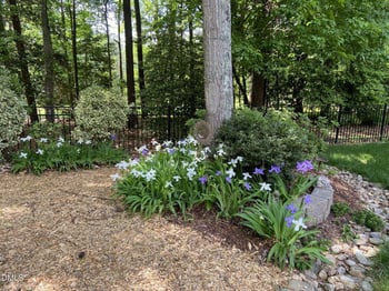 5600 Merion Station Dr, Apex, NC 27539