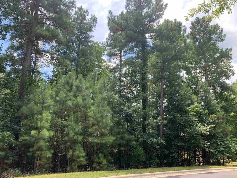 561 Chapel Ridge Dr Lot 51, Pittsboro, NC 27312