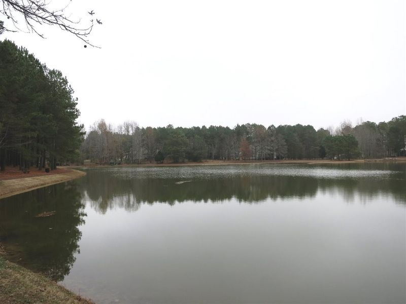 5613 Pine Rock Ct Lot 17, Wake Forest, NC 27587
