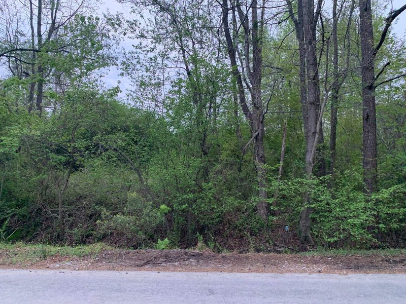 562 Circle Dr Lot 1, Angier, NC 27501